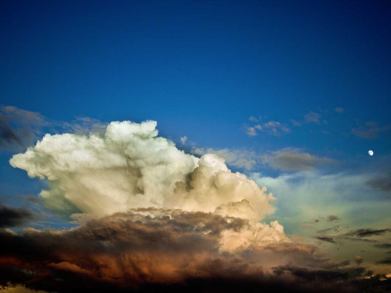 截流猎手<br>竞品评论区引流与私域沉淀